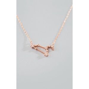 Francescas Leo constellation necklace